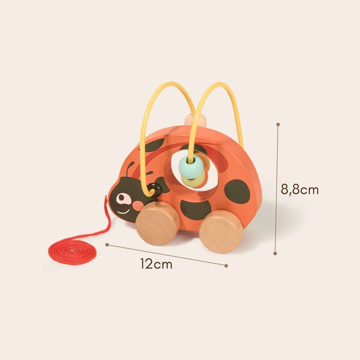 TOOKY TOY Boružėlė 3in1 Medinis Lavinamasis Rinkinys