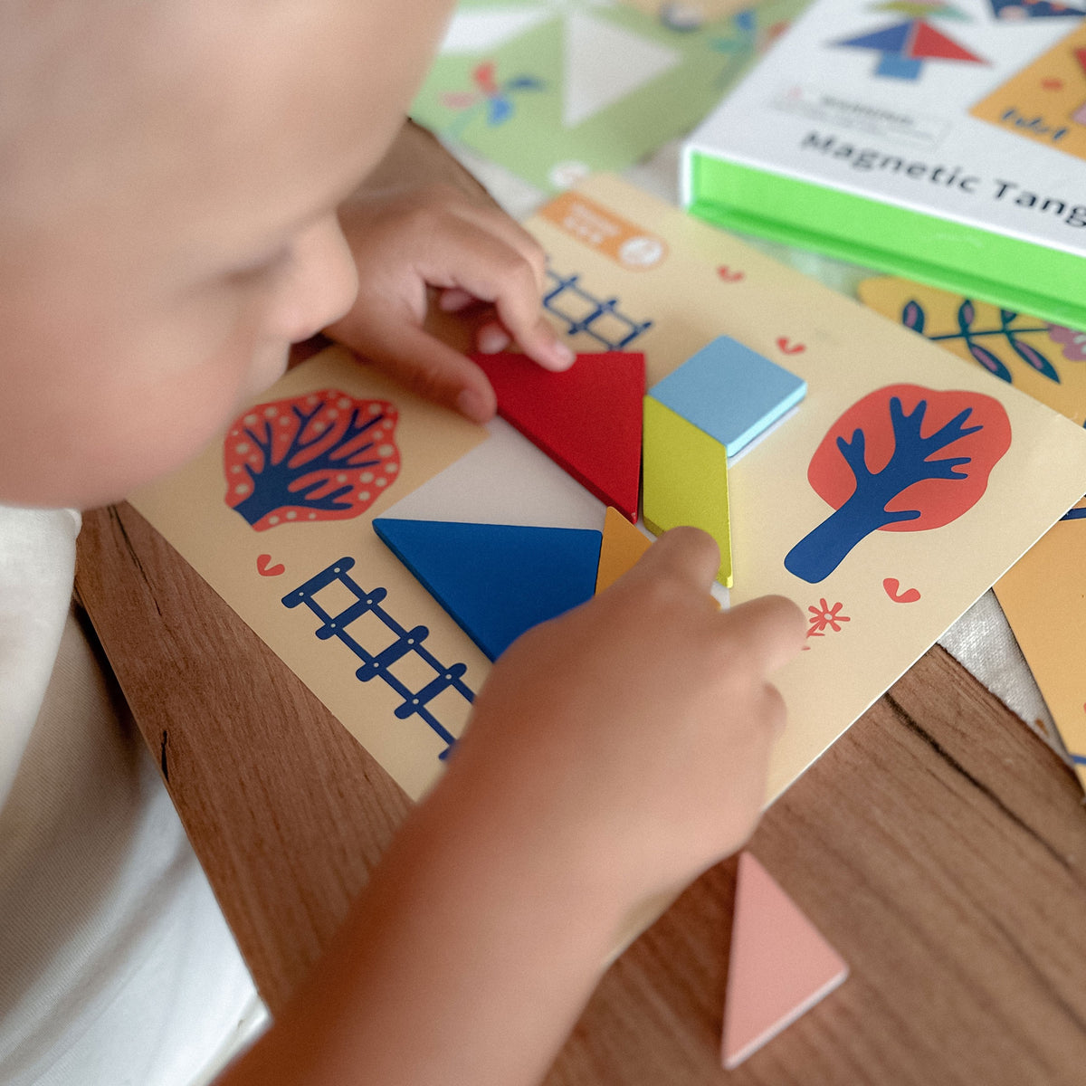 TOOKY TOY Tangram dėlionė – formos ir gyvūnai, 18 dalių