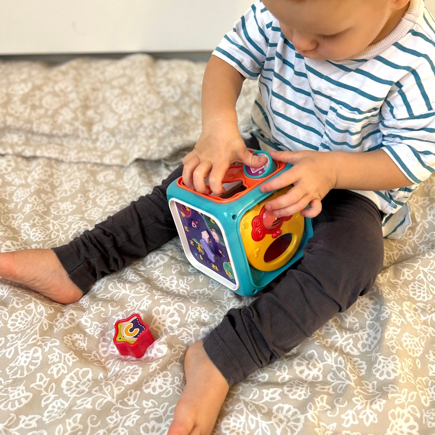 WOOPIE BABY Jutiminis Montessori Kubas Rūšiuoklis 6in1 Kūdikiams nuo 6 mėn