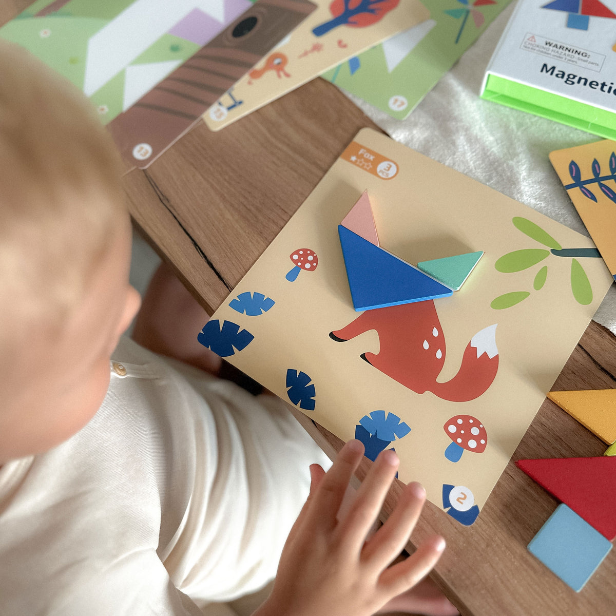 TOOKY TOY Tangram dėlionė – formos ir gyvūnai, 18 dalių