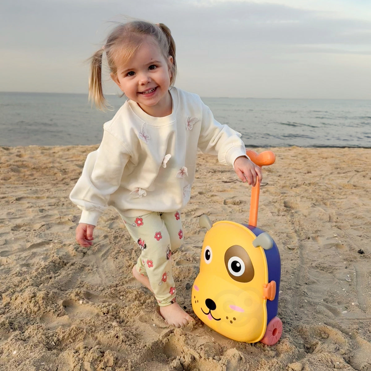 WOOPIE 3in1 smėlio ir vandens žaidimų rinkinys, šunelio lagaminas