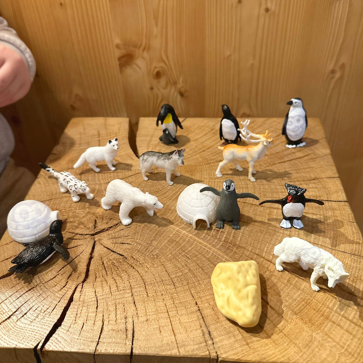 WOOPIE Arktikos Gyvūnų Figūrėlių Rinkinys, 16 dalių