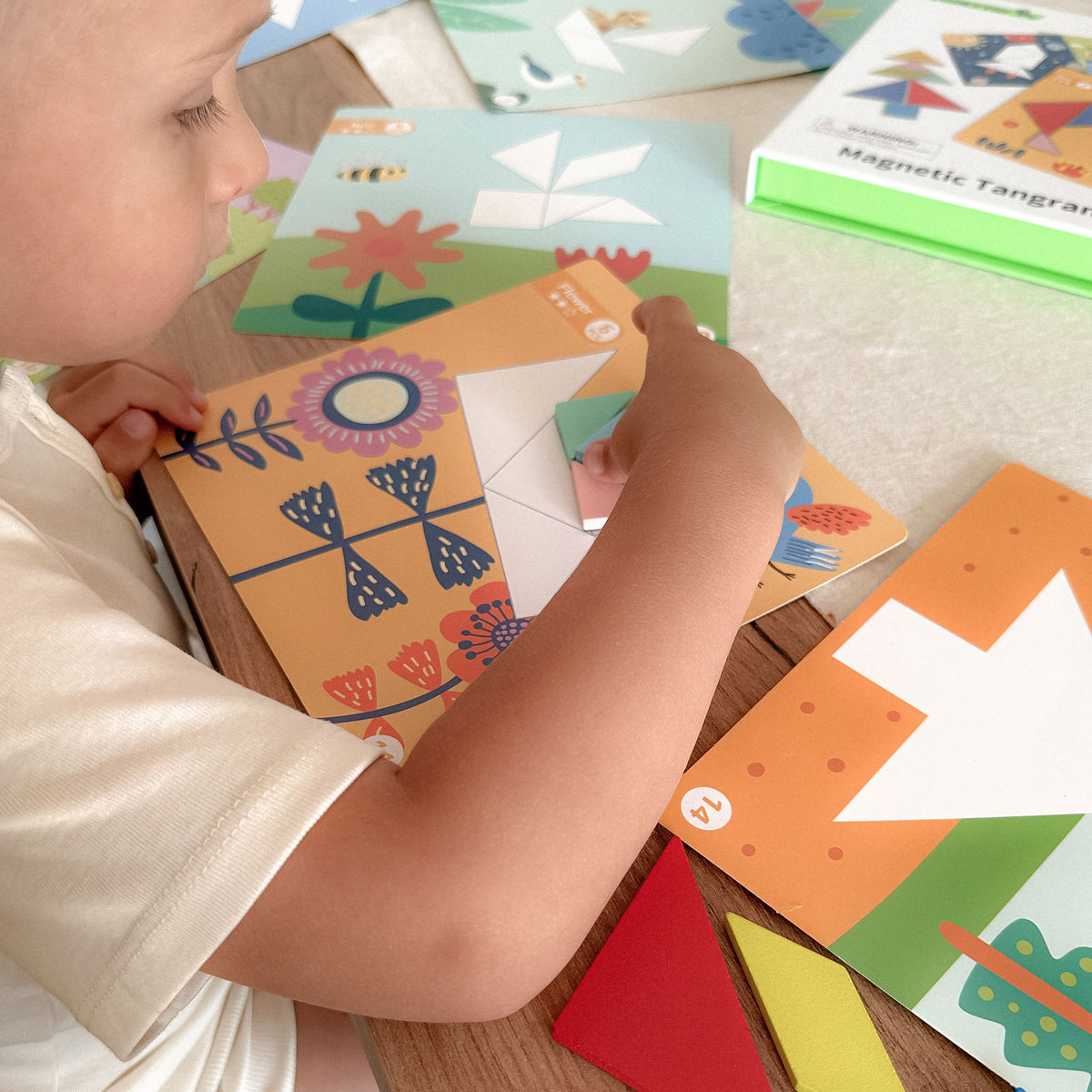 TOOKY TOY Tangram dėlionė – formos ir gyvūnai, 18 dalių