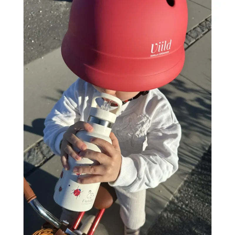 Termo gertuvė vaikams, Boružėlės motyvas, 350 ml – vaizdas 7