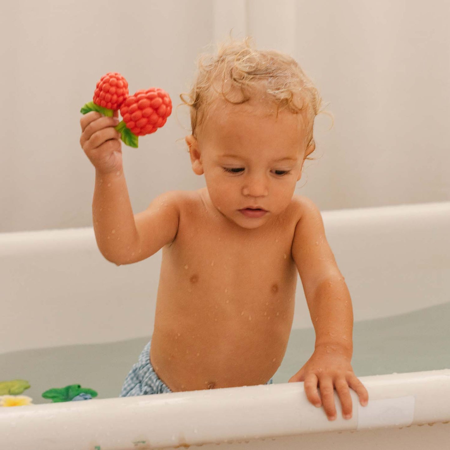 Oli&Carol Avietė – natūralus kramtukas kūdikiams – vaizdas 6