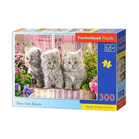 Castorland dėlionė THREE GREY KITTENS 300 det.