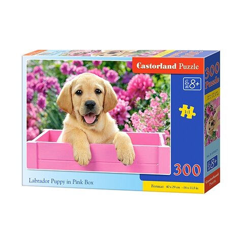 Castorland dėlionė LABRADOR PUPPY IN PINK BOX 300 det.