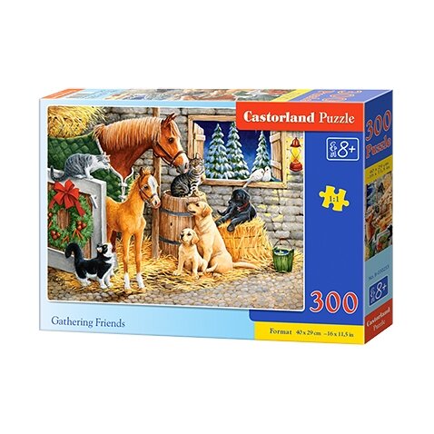 Castorland dėlionė GATHERING FRIENDS 300 det.