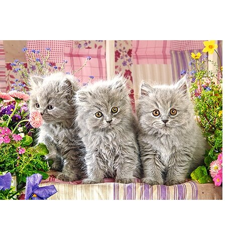 Castorland dėlionė THREE GREY KITTENS 260 det.