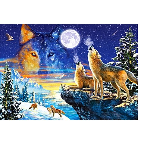 Castorland dėllionė  HOWLING WOLVES  1000 det.
