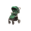 4 BABY vežimėlis STINGER PRO, GREEN
