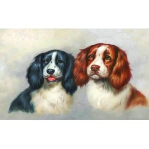 Norimpex Deimantinė mozaika Dogs portret