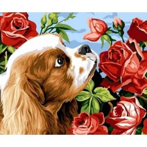 Norimpex Deimantinė mozaika Dog with roses